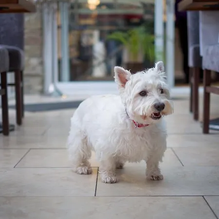 Bay Hotel, Looe